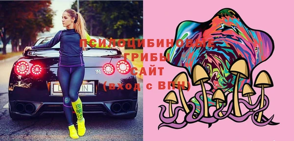 apvp Верхний Тагил